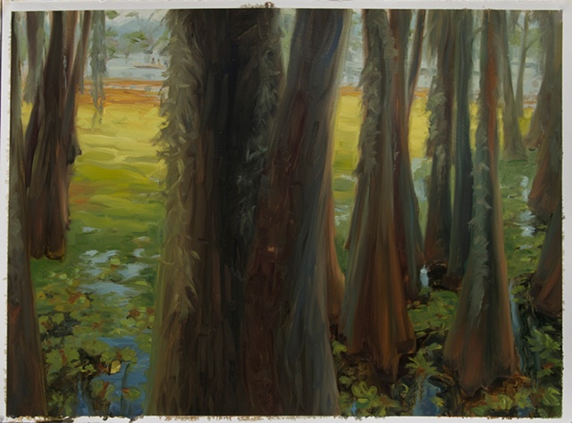 Study for Giant Salvinia, Caddo Lake #1