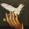 Bird in Hand
