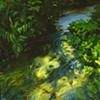 Creek in Sunlight