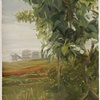 Study for Tallow Tree, Texas City