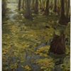Study for Giant Salvinia, Caddo Lake #2 