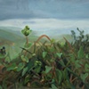 Study for Mile a Minute Vine