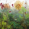 Sumacs in Fog