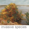 invasive species