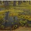 Study for Giant Salvinia, Caddo Lake #3