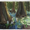 Study for Water Hyacinths # 2