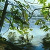 Rainy Lake
