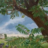 Tree of Heaven at William Hamiltons Mansion