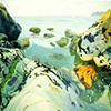 Rocks at Ruby Beach