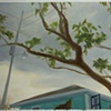 Tallow Tree, Bolivar