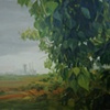 Tallow Tree, Texas City