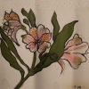 Day Lillies