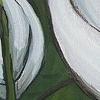 peace lily