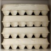 Donor Eggs