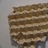 Egg Carton, Paris, 2007