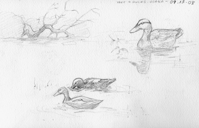 Osaka ducks.