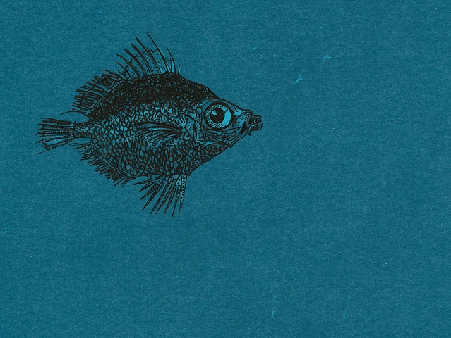 Night Fish