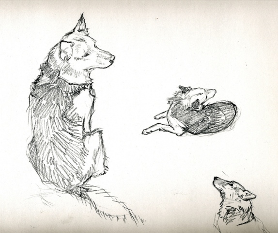Nellie sketches.