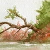 Osaka tree.