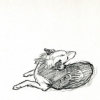 Nellie sketches.