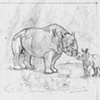 Rhino Family.
