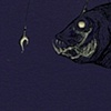 Night Fish Series