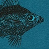 Night Fish