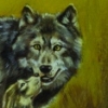 Wolf and cub.