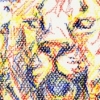 Female lion.