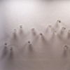 2006 Between Fragility and Vitality