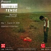 Present Tense Biennial 2009