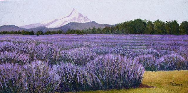A lavender Farm in Hood River, Oregon, with Mt. Hood in the background