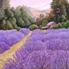Lavender Farm