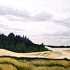 Islands of Trees