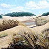 Reedsport Dunes, Early Spring