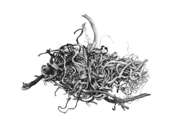 Forsaken Articles: Sea Grass V