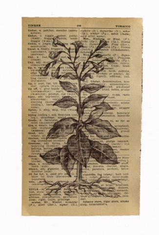 Take Me As I Am: Tobacco