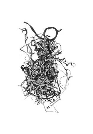 Forsaken Articles: Sea Grass II