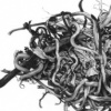 Forsaken Articles: Sea Grass V