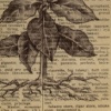 Take Me As I Am: Tobacco