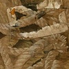 "Contained Spaces: Knotted"
