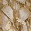 "Contained Spaces: Shredded"