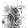 Forsaken Articles: Sea Grass III
