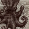 Take Me As I Am: Octopus