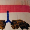 Winged Rights