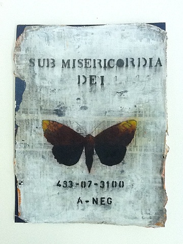 Alfredo Scaroina, artist, Contemporary art, conceptual art, arte contemporaneo, arte conceptual, Houston, Texas, Deborah Colton, Carolyn Farb, Wade Wilson, Inman Gallery, Deborah Colton Gallery, Coltonfarb Gallery,domicano, dominican artists