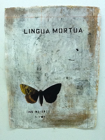 Alfredo Scaroina, Contemporary art, Texas artist, Dominican contemporary art,  houston