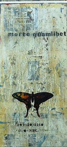 Alfredo Scaroina, artist, Contemporary art, conceptual art, arte cAlfredo Scaroina, artist, Contemporary art, conceptual art, arte contemporaneo, arte conceptual, domicano, dominican artistsontemporaneo, arte conceptual, domicano, dominican artists