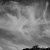 Art Photography