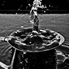 Splash BW